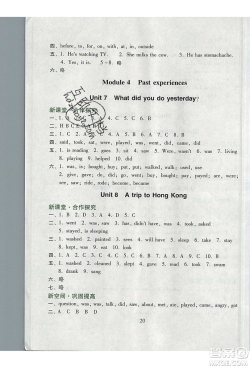 2019南方新课堂金牌学案六年级英语上册教育科学版答案