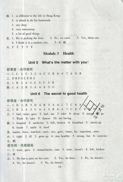 2019南方新课堂金牌学案六年级英语上册教育科学版答案