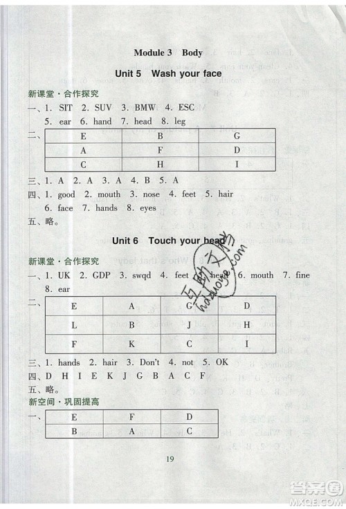 2019南方新课堂金牌学案三年级英语上册教育科学版答案