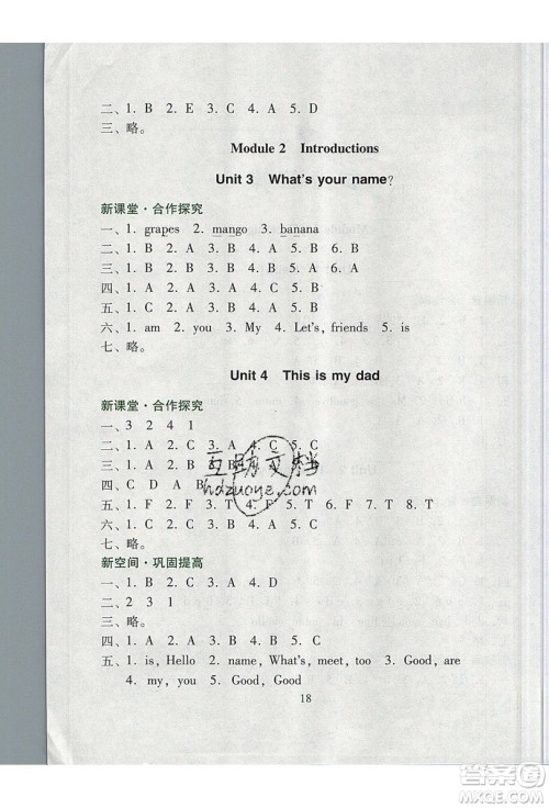 2019南方新课堂金牌学案三年级英语上册教育科学版答案