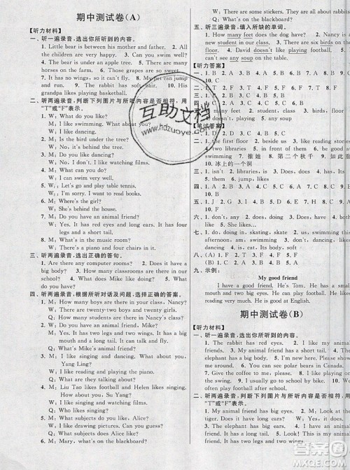 2019新版亮点给力大试卷五年级上册英语苏教版答案 2019新版亮点给力大试卷五年级上册英语苏教版答案