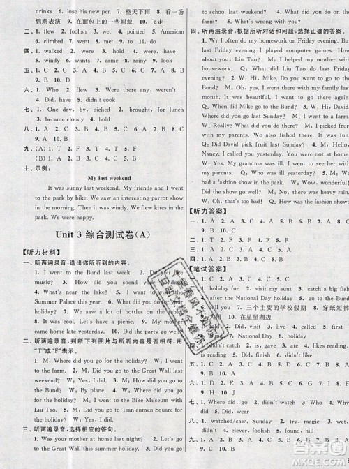 2019新版亮点给力大试卷六年级上册英语苏教版答案 2019新版亮点给力大试卷六年级上册英语苏教版答案