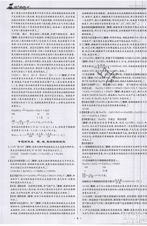 2019新版优+攻略衔接中考版九年级科学全一册ZJ浙教版参考答案