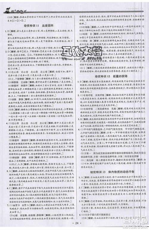 2019新版优+攻略衔接中考版九年级科学全一册ZJ浙教版参考答案