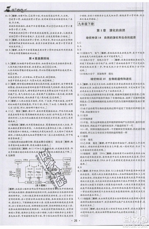 2019新版优+攻略衔接中考版九年级科学全一册ZJ浙教版参考答案