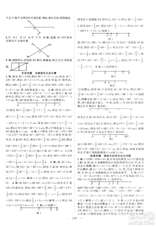 智慧万羽2019名师学案分层进阶学习七年级数学上册答案