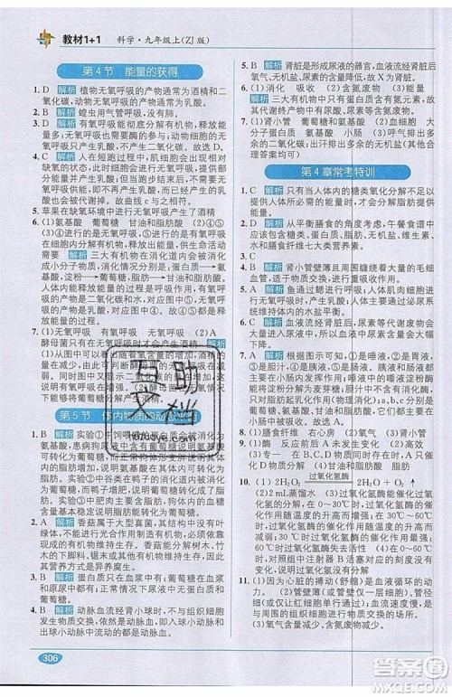 全能学练2019秋教材1+1优化创新训练科学九年级上册ZJ版浙教版参考答案