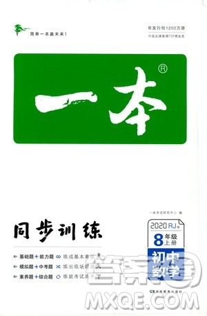 湖南教育出版社2020一本同步训练8年级初中数学人教版上册答案