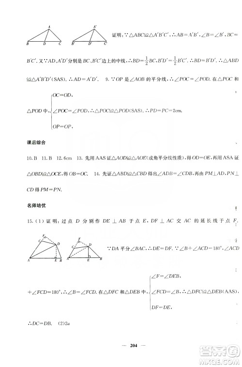 四川大学出版社2019名校课堂内外八年级数学上册人教版答案