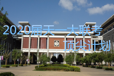 天一大联考顶尖计划2020届高中毕业班第一次考试语文试题及答案