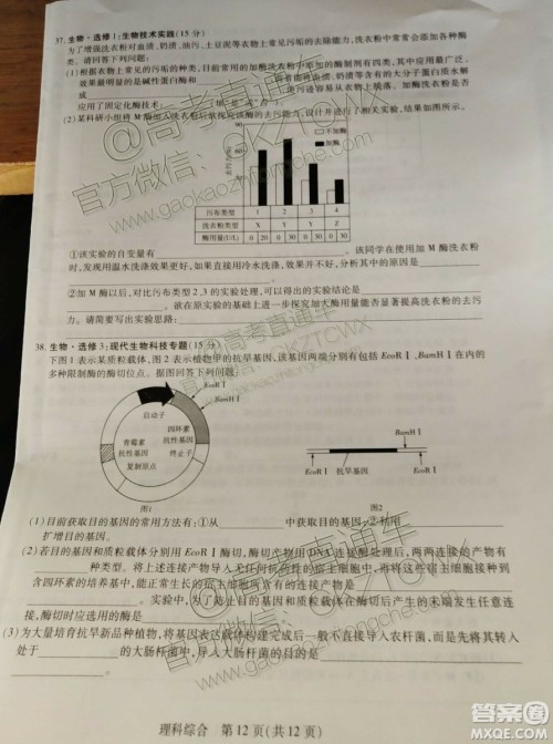 天一大联考顶尖计划2020届高中毕业班第一次考试文理综试题及答案 天一大联考顶尖计划2020届高中毕业班第一次考试文理综试题及答案