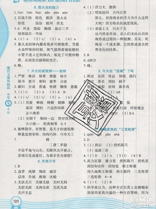 2019新版新黑马阅读现代文课外阅读五年级人教版答案 2019新版新黑马阅读现代文课外阅读五年级人教版答案