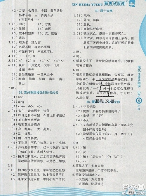 2019新版新黑马阅读现代文课外阅读六年级人教版答案 2019新版新黑马阅读现代文课外阅读六年级人教版答案