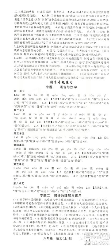 云南美术出版社2019学生课程精巧训练八年级语文上册人教版答案