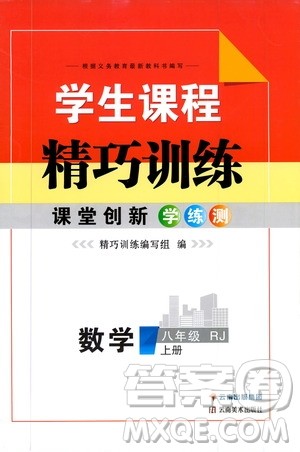 云南美术出版社2019学生课程精巧训练八年级数学上册人教版答案