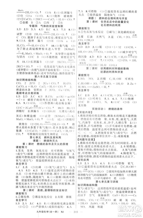 云南美术出版社2019年学生课程精巧训练九年级化学上册人教版答案
