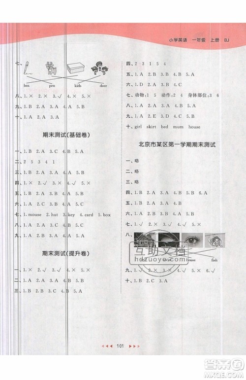 小儿郎2019秋53天天练一年级上册英语BJ北京版参考答案