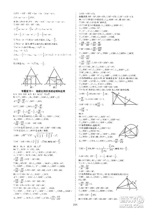 学林驿站2019全优方案夯实与提高九年级数学浙教版全一册答案