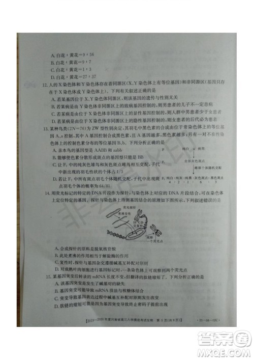 2019~2020年度河南省高三入学摸底考试生物试题及答案 2019~2020年度河南省高三入学摸底考试生物试题及答案