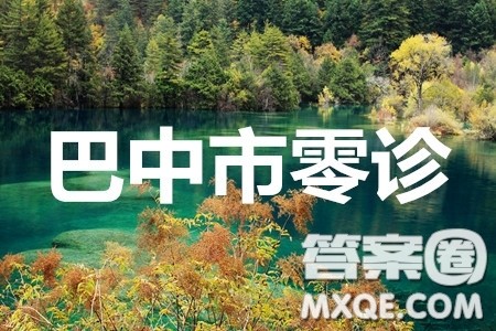 2020届巴中市高三零诊文理数试题及参考答案