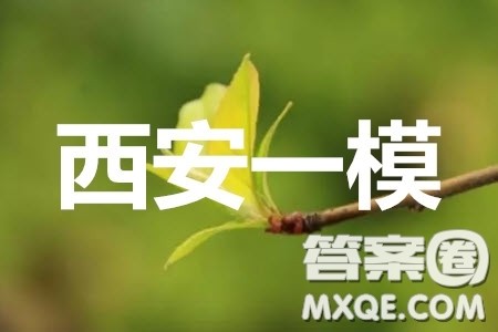 2020届西安一模语文试题及答案 2020届西安一模语文试题及答案