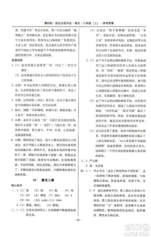 驰逐文化2019课时刷优化分层作业八年级语文上册答案