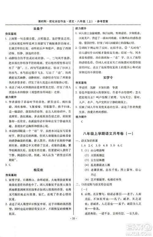 驰逐文化2019课时刷优化分层作业八年级语文上册答案