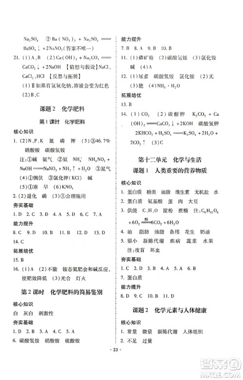 驰逐文化2019课时刷优化分层作业九年级化学上册答案