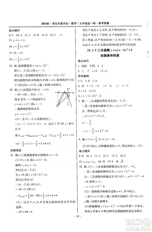 驰逐文化2019课时刷优化分层作业九年级数学全一册答案