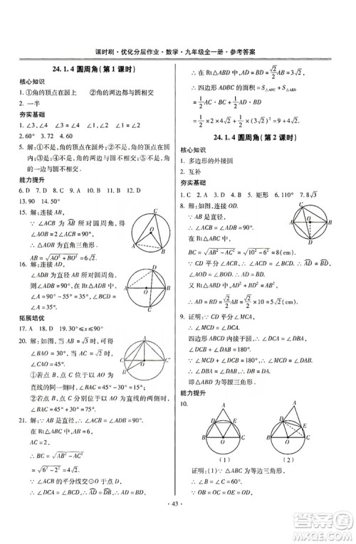 驰逐文化2019课时刷优化分层作业九年级数学全一册答案