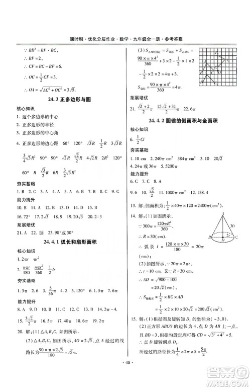 驰逐文化2019课时刷优化分层作业九年级数学全一册答案