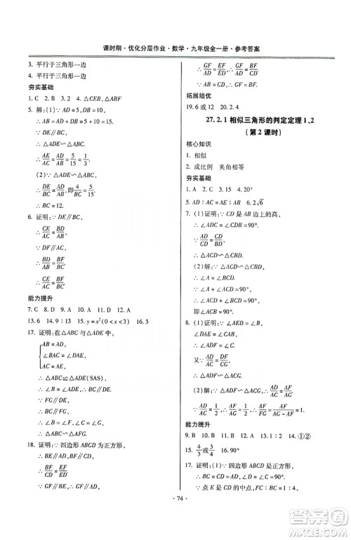驰逐文化2019课时刷优化分层作业九年级数学全一册答案