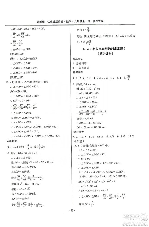驰逐文化2019课时刷优化分层作业九年级数学全一册答案