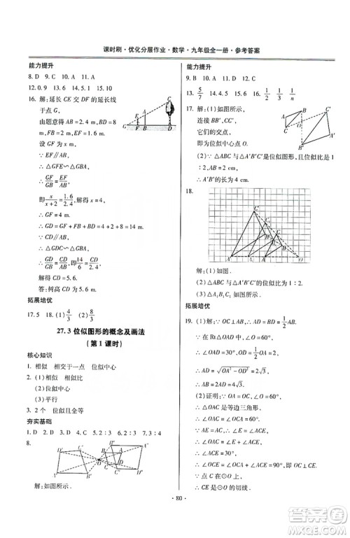 驰逐文化2019课时刷优化分层作业九年级数学全一册答案