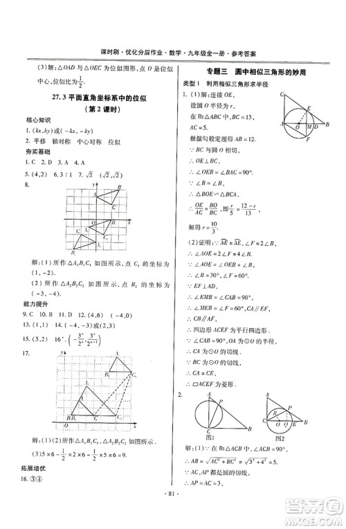 驰逐文化2019课时刷优化分层作业九年级数学全一册答案