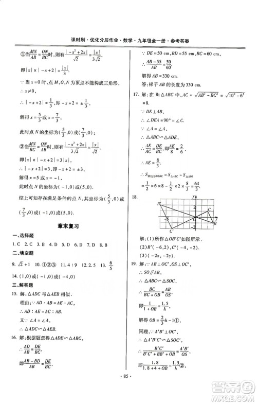 驰逐文化2019课时刷优化分层作业九年级数学全一册答案