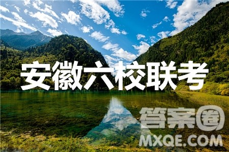 2020届安徽六校联考高三第一次联考语文试题及答案 2020届安徽六校联考高三第一次联考语文试题及答案