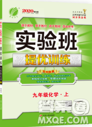 春雨教育2019秋实验班提优训练九年级化学上册RMJY人教版参考答案