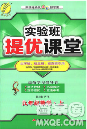 江苏人民出版社2019春雨教育实验班提优课堂数学九年级上册ZJJY浙教版参考答案