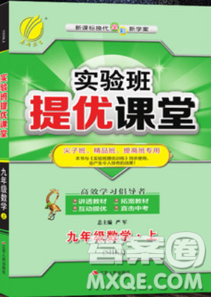 江苏人民出版社2019春雨教育实验班提优课堂数学九年级上册SHKJ沪科版参考答案