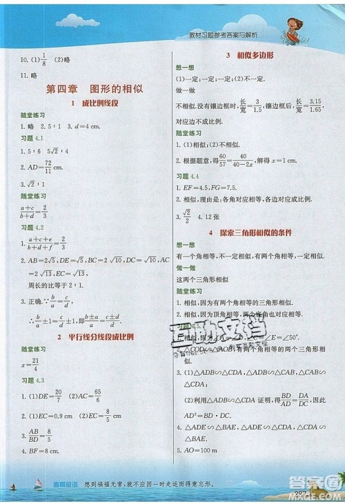 江苏人民出版社2019春雨教育实验班提优课堂数学九年级上册BSD北师大版参考答案
