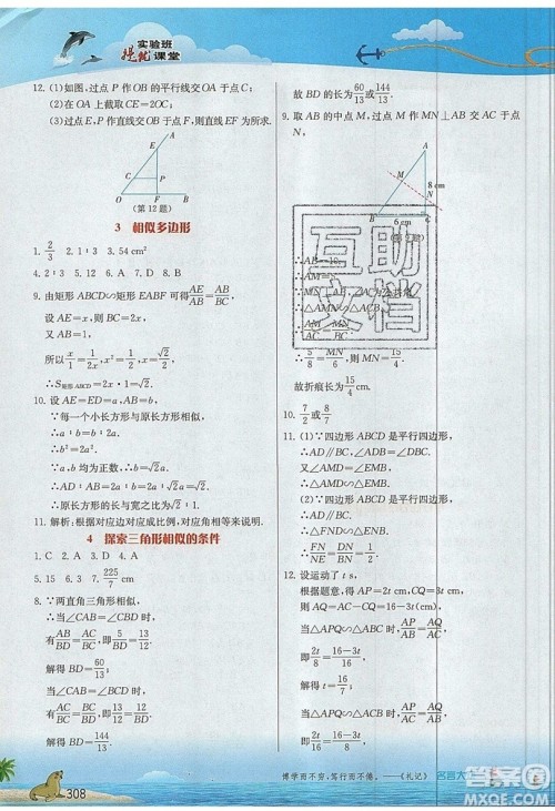 江苏人民出版社2019春雨教育实验班提优课堂数学九年级上册BSD北师大版参考答案