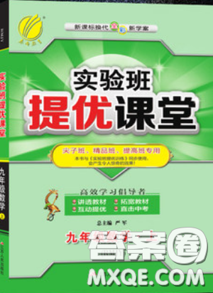 江苏人民出版社2019春雨教育实验班提优课堂数学九年级上册RMJY人教版参考答案