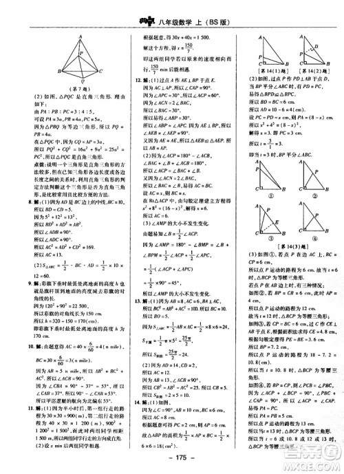 荣德基2019秋典中点综合应用创新题数学八年级上BSD北师大版参考答案 荣德基2019秋典中点综合应用创新题数学八年级上BSD北师大版参考答案
