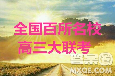 2020全国百所名校高三大联考语文参考答案