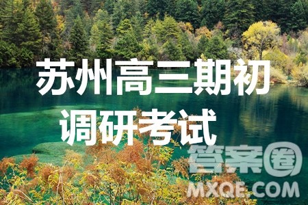 2020届苏州市高三期初调研考试语文试题及答案解析 2020届苏州市高三期初调研考试语文试题及答案解析