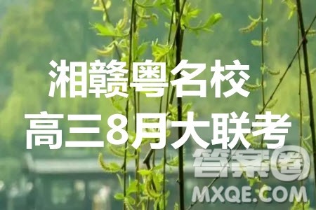 2020届湘赣粤名校高三8月大联考文科数学试题及答案