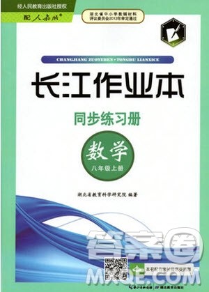 2019年长江作业本同步练习册数学八年级上册人教版答案