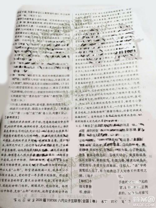 百校联盟2020届TOP300八月尖子生联考全国I卷语文答案