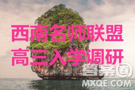 2020届西南名师联盟高三入学调研考试英语试题及答案